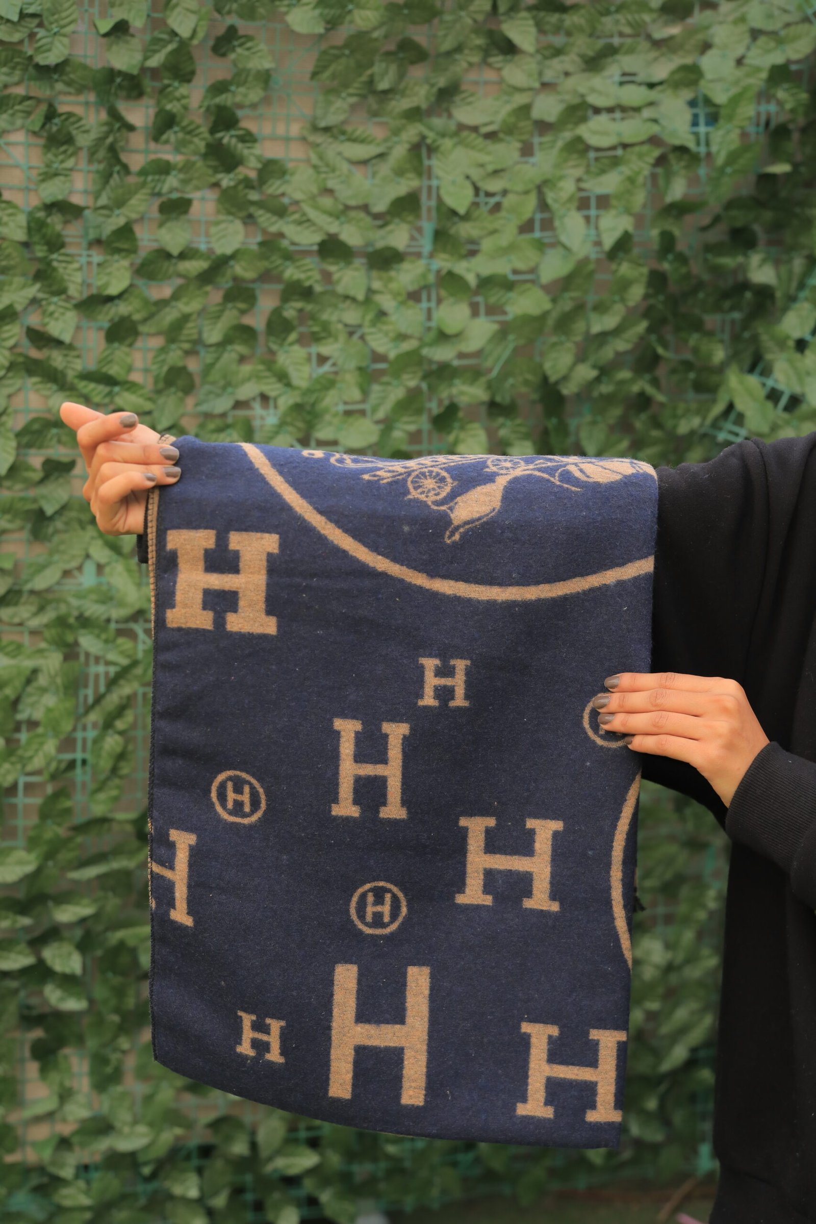 سكارف Hermès - الصورة 2